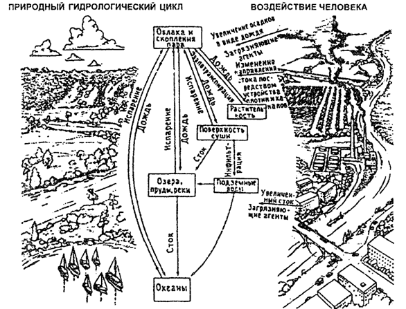 Рис. 13.15. Антропогенное воздействие на круговорот