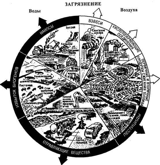 Рис. 13.23. Загрязнение окружающей среды (по Б. Небелу, 1993)