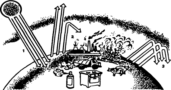 Рис. 14.8. «Парниковый эффект» (по Е. А. Криксунову и др., 1995):