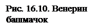 башмачок