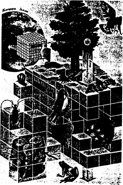 Рис. 17.3. Биоценозы и биогеоценозы — «кирпичики»,