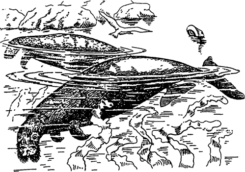 Рис. 17.4. Морская, или стеллерова, корова