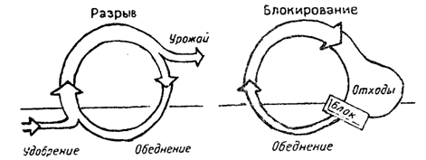 Рис. 18.6. Круговорот питательных веществ в
