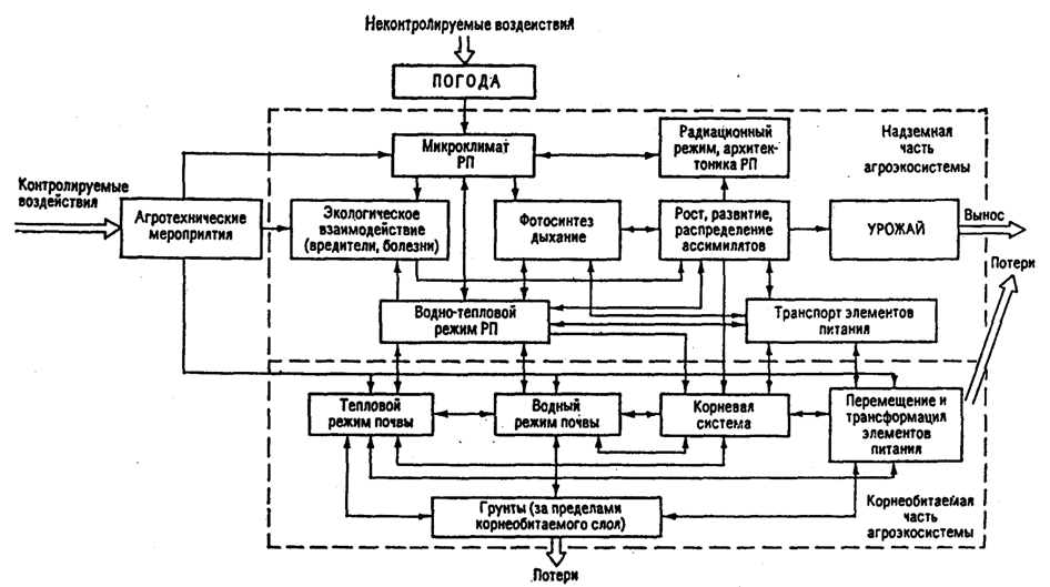 Рис.18.9. Блок-схема продуктивности агроэкосистем