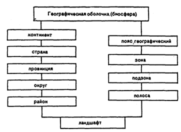 Рис. 18.11. Соотношение таксономических единиц