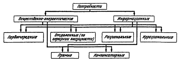 Рис. 19.3. Общая схема потребностей человека (по Н. Ф. Реймерсу, 1994)