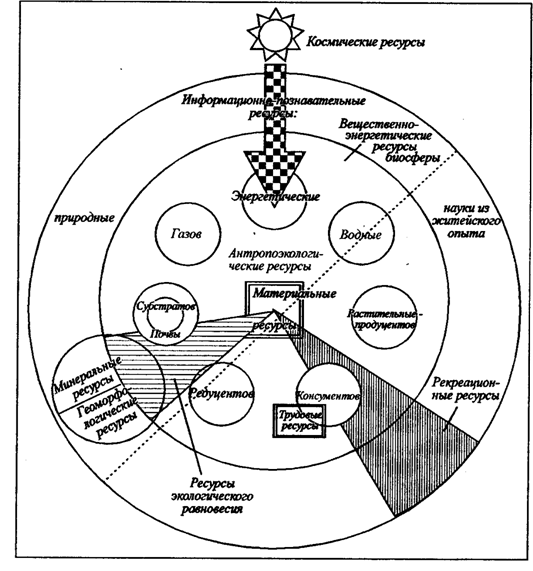Рис. 20.2. Схема интегрального ресурса (по Н. Ф. Реймерсу, 1994)