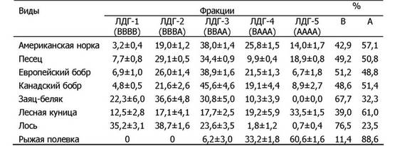 Таблица 5. Изоферментные спектры ЛДГ печени у млекопитающих