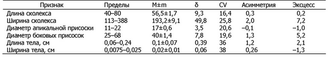Таблица 4. Морфометрические показатели плероцеркоидов, мкм